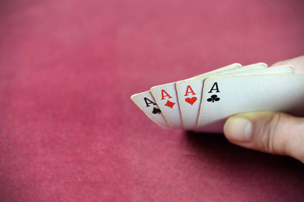 cricbet99 login id and password forgot